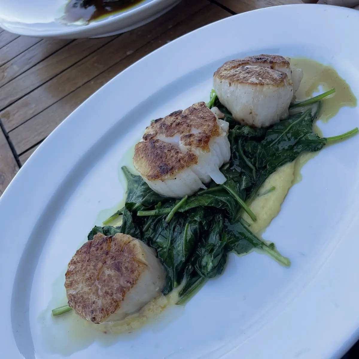 Seared Scallops