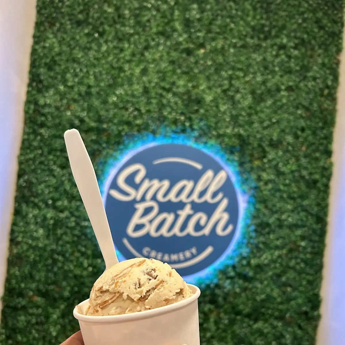 Ice Cream Pint