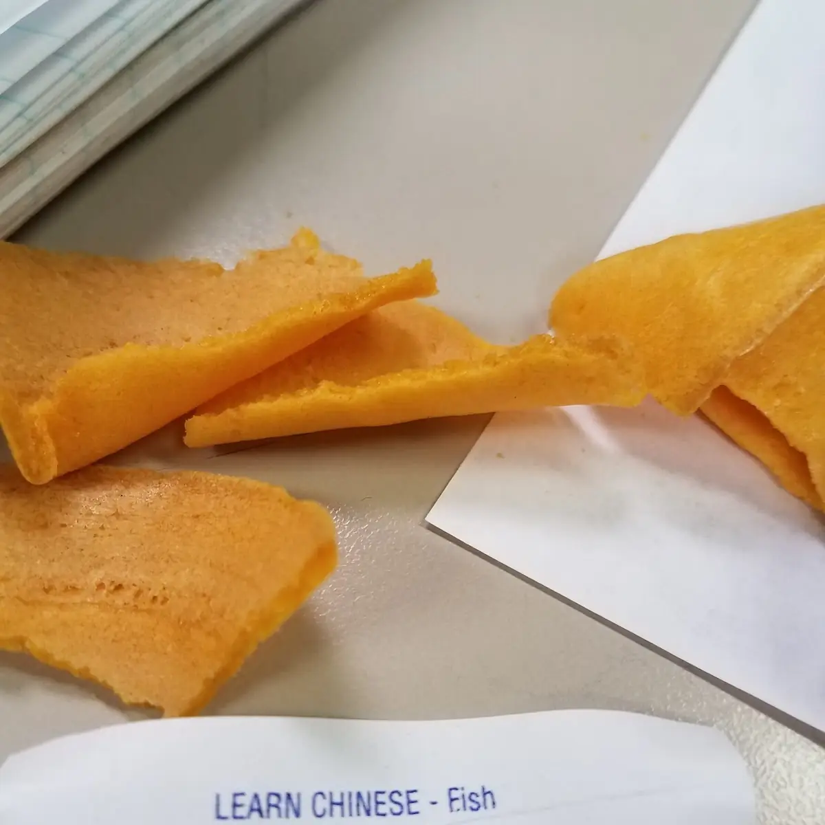 Fortune Cookie