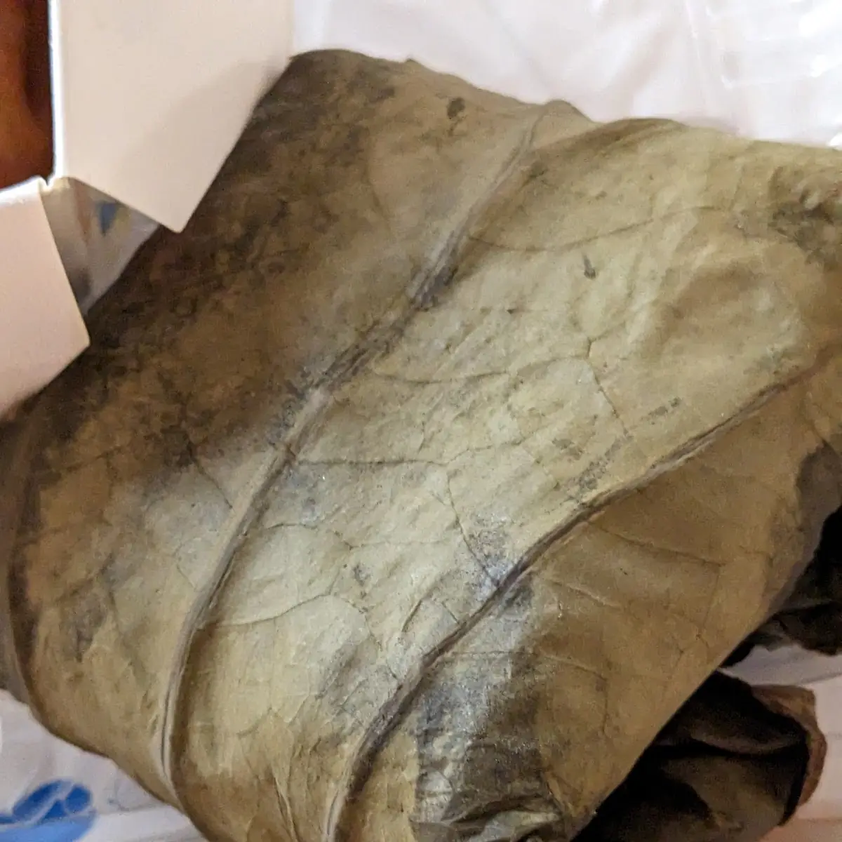 Lotus Leaf Wrap
