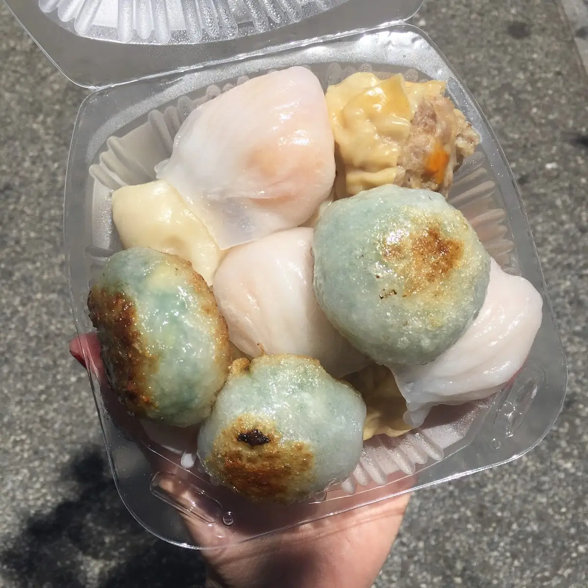 Steamed and Pan Fried Dumplings Platter