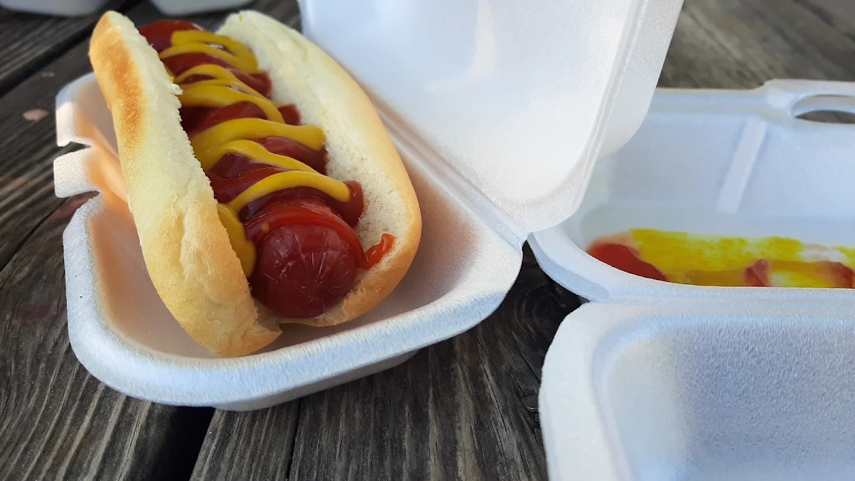 Chicago Hot Dog