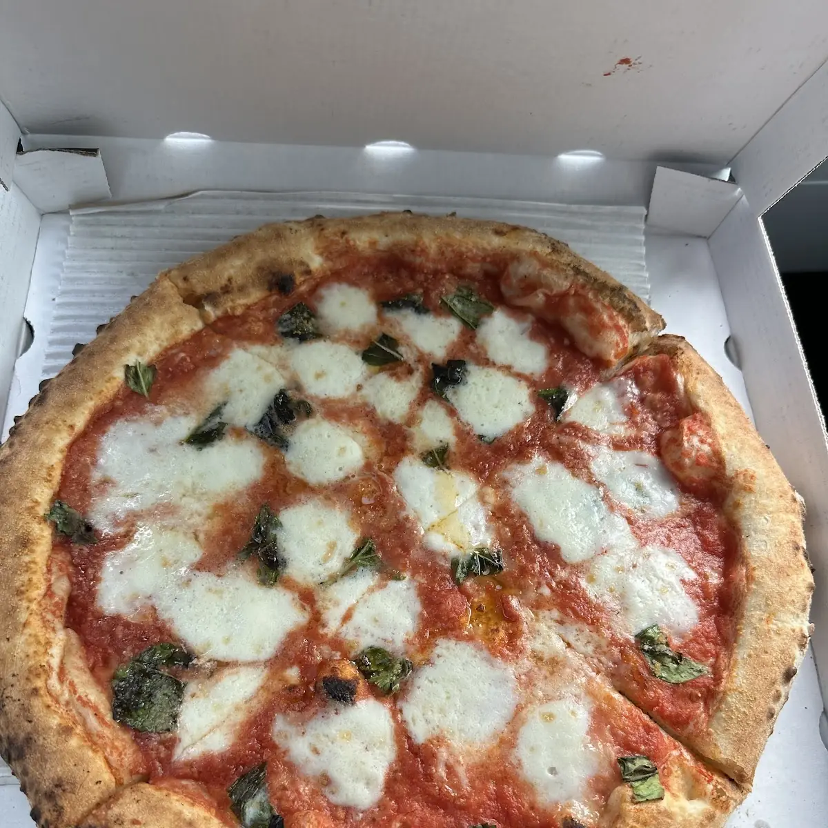 Pizza Margarita