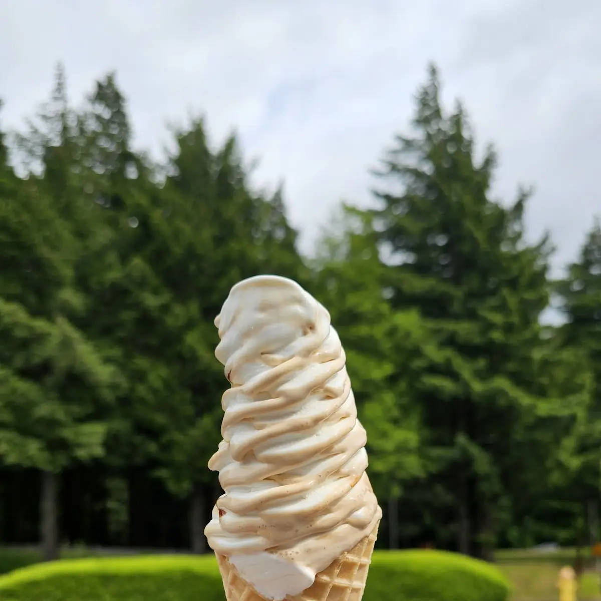 Flavor Burst Waffle Cone