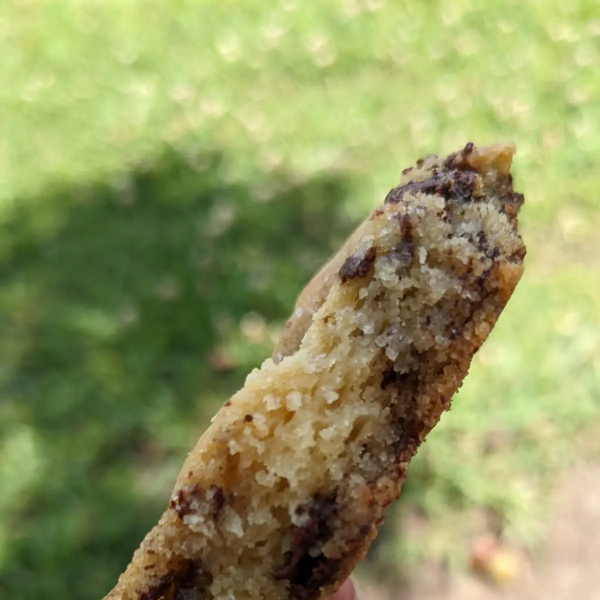 Chocolate Chip Cookie