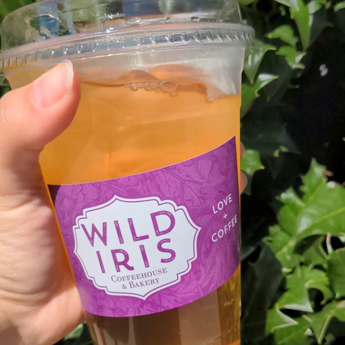 Moroccan Mint Green Tea