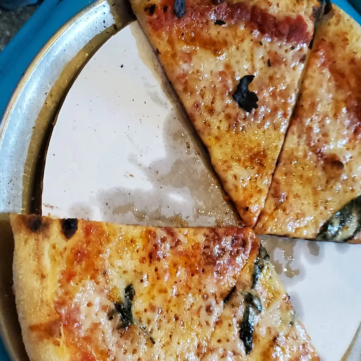 Mozzarella Cheese Pizza