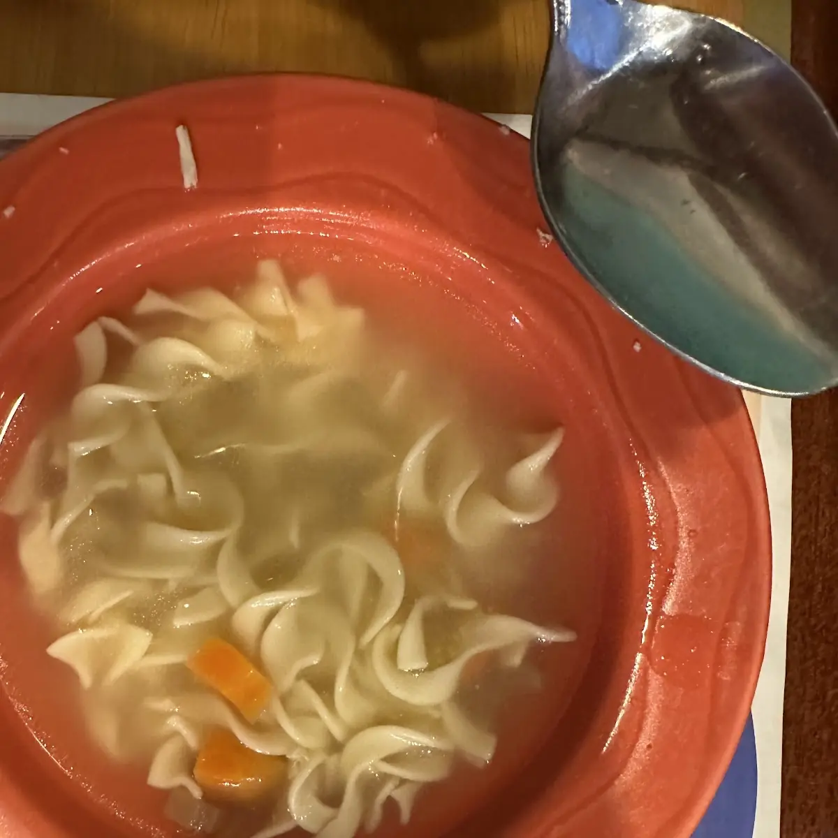 Chicken Noodle Soup