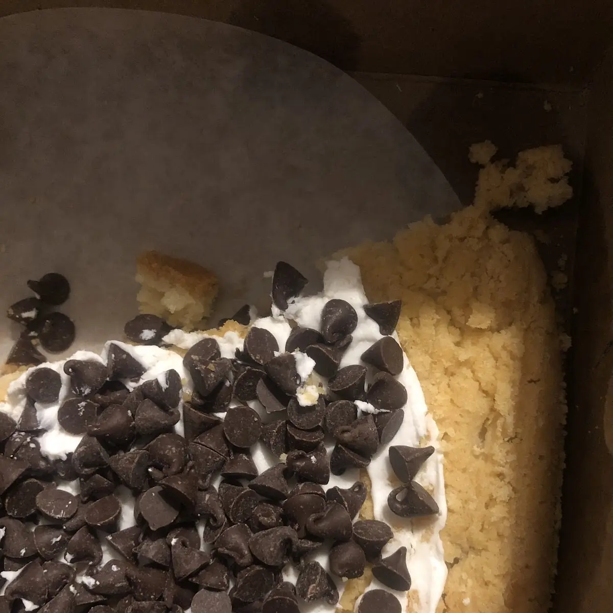 Chocolate Chocolate Chip Cookie Featuring Hershey's