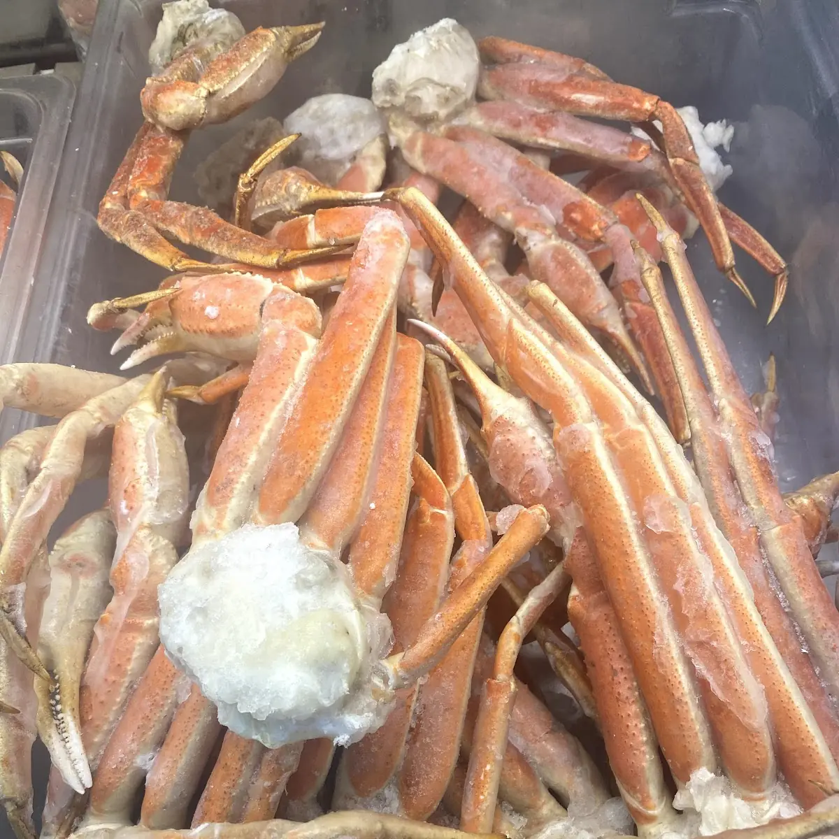 SA Snow Crab