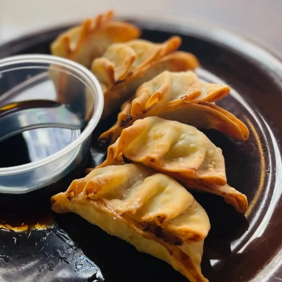 Pan-Fried Yaki Gyoza
