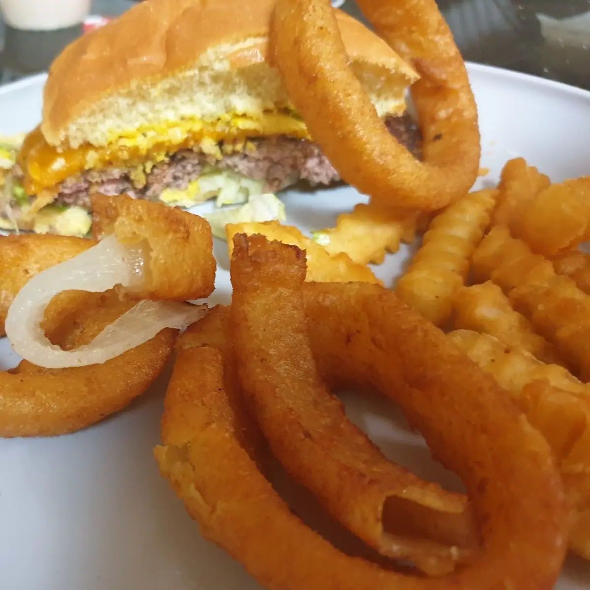 Burger and Onion Rings