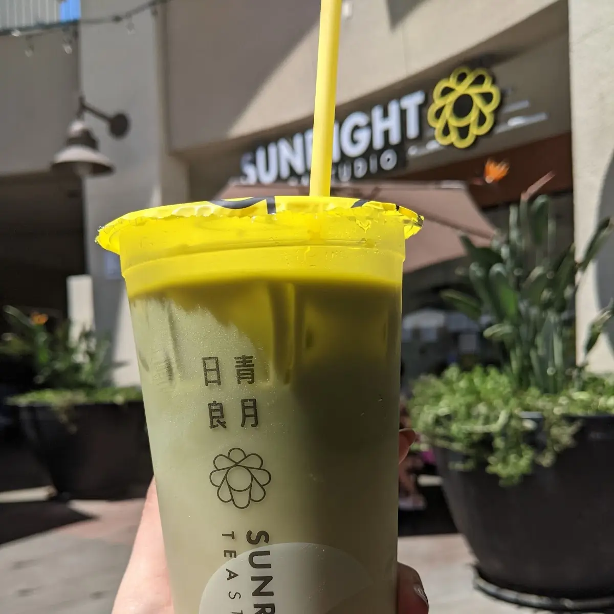 Matcha Oolong Milk Tea