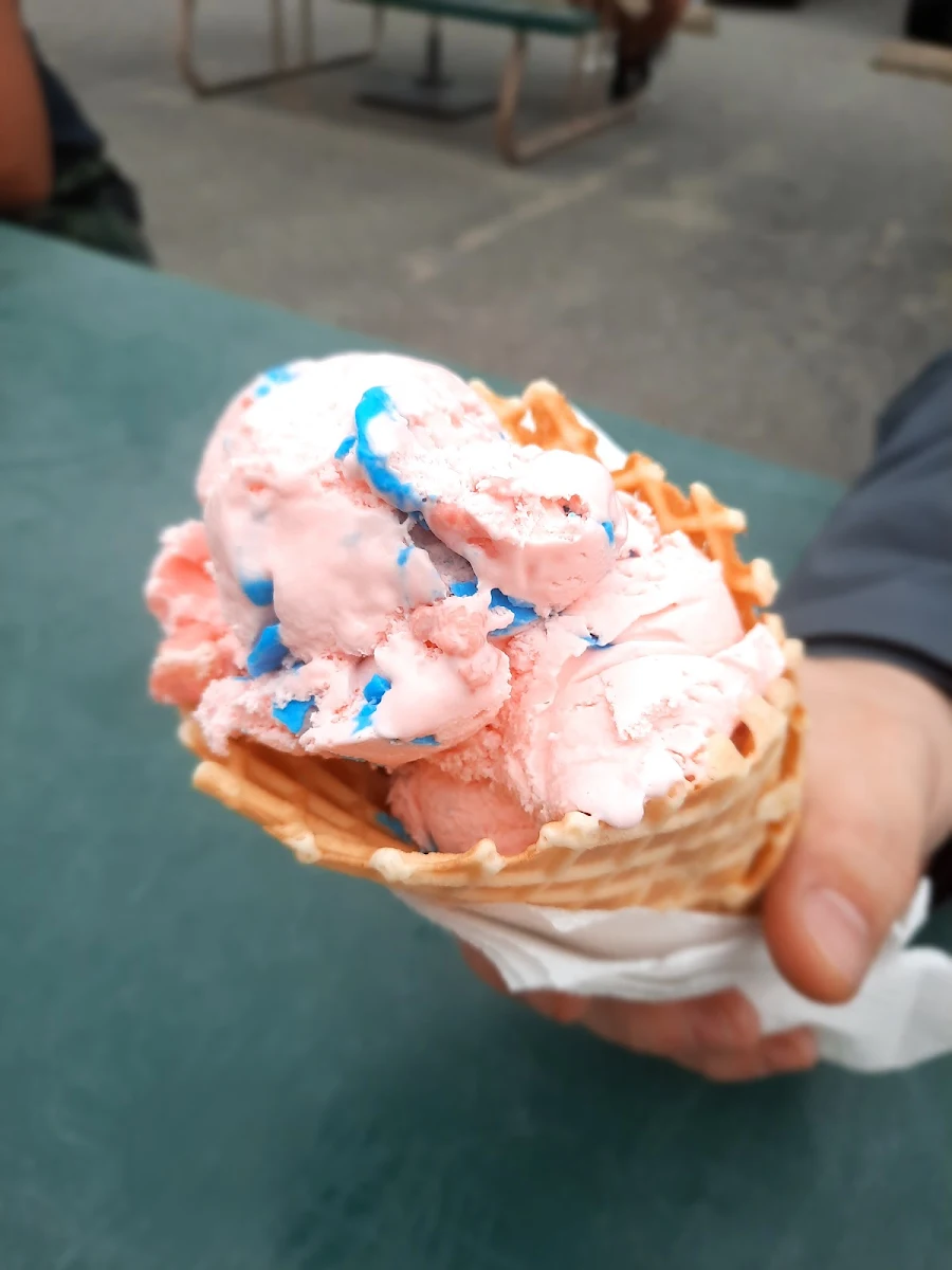 Giant Waffle Cone