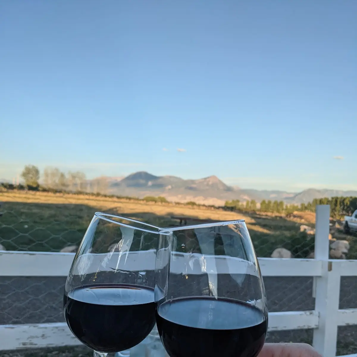 Red Wine
