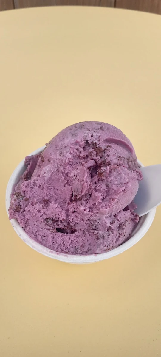 Blueberry Chip