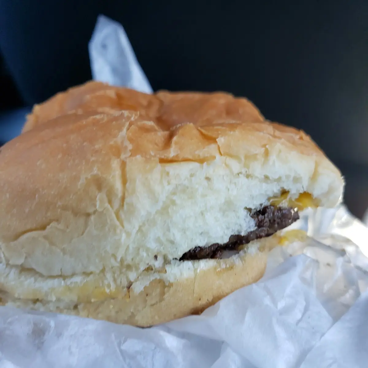 Double Cheese Burger