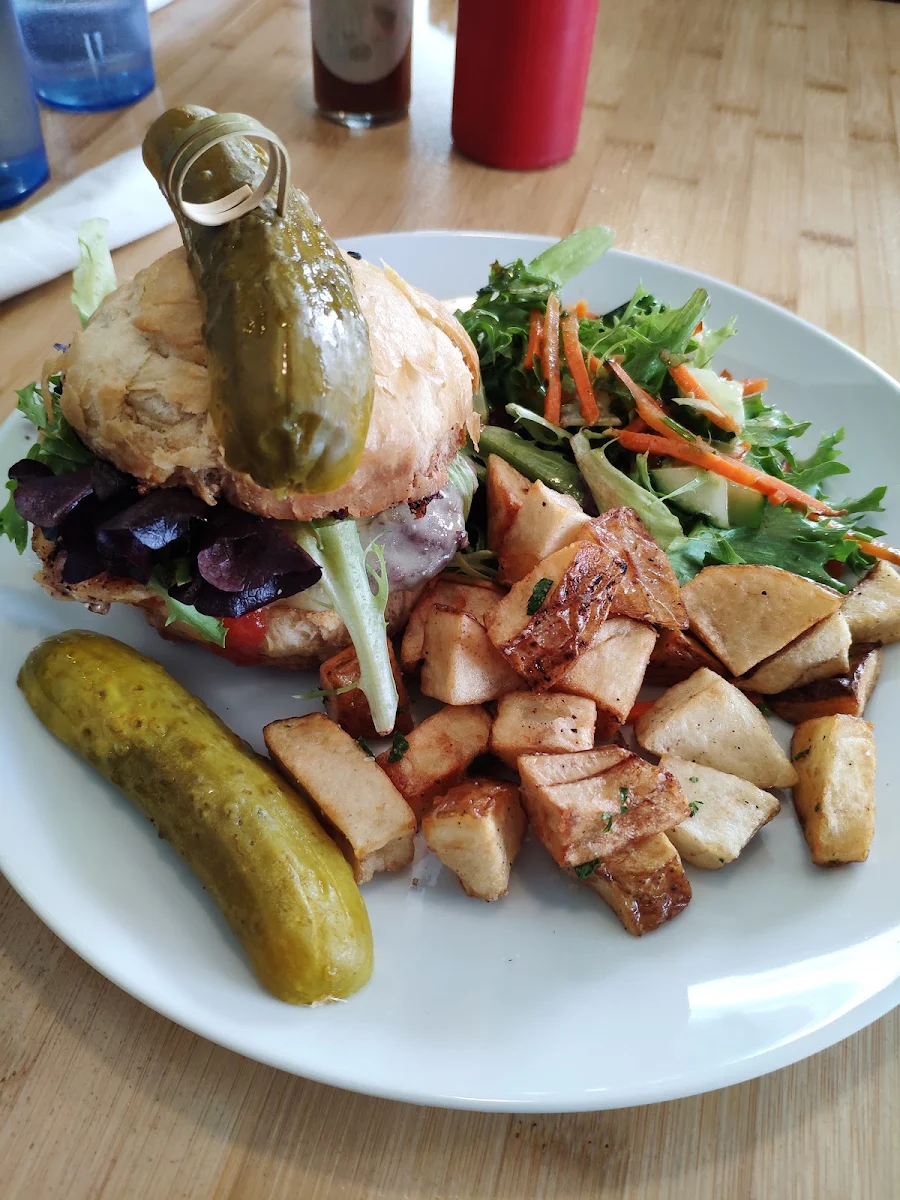 Bison Burger