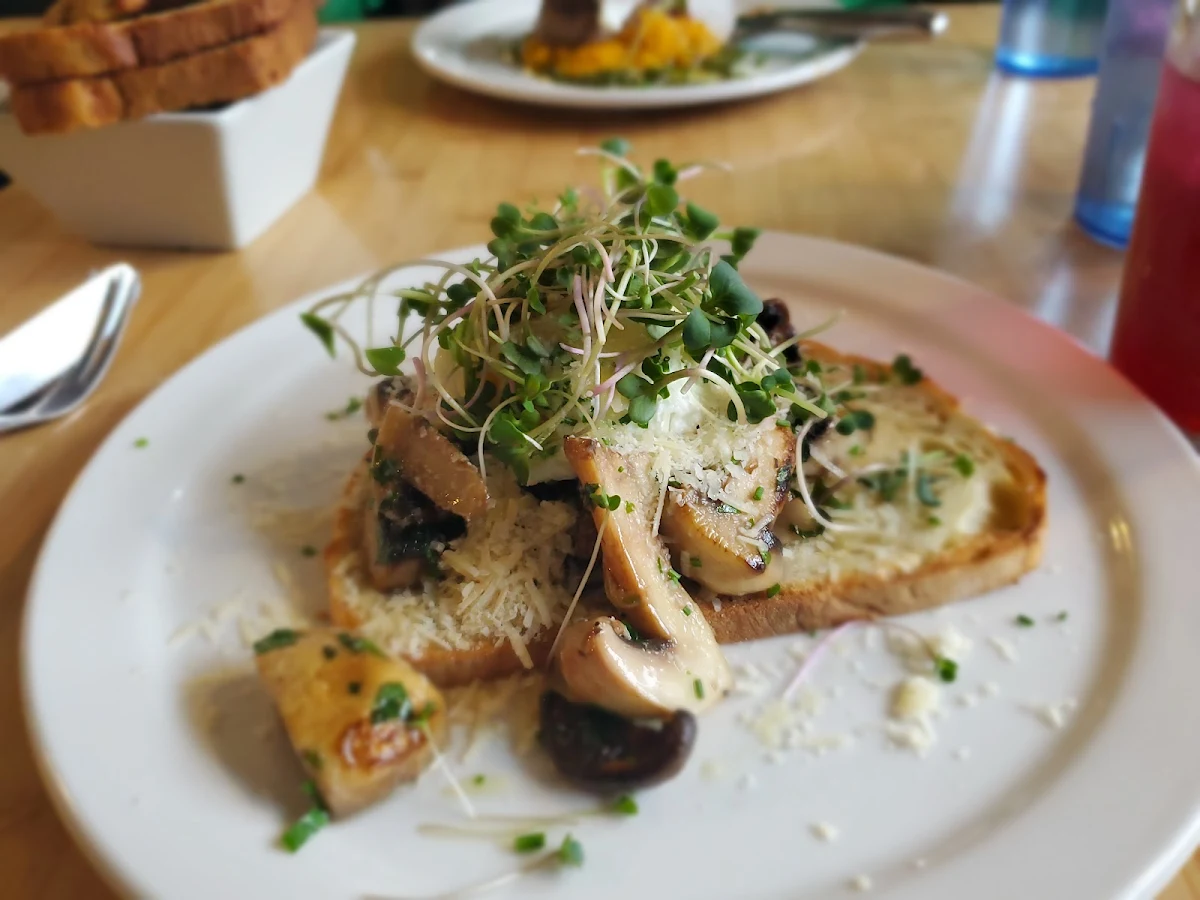 Mushrooms on Toast