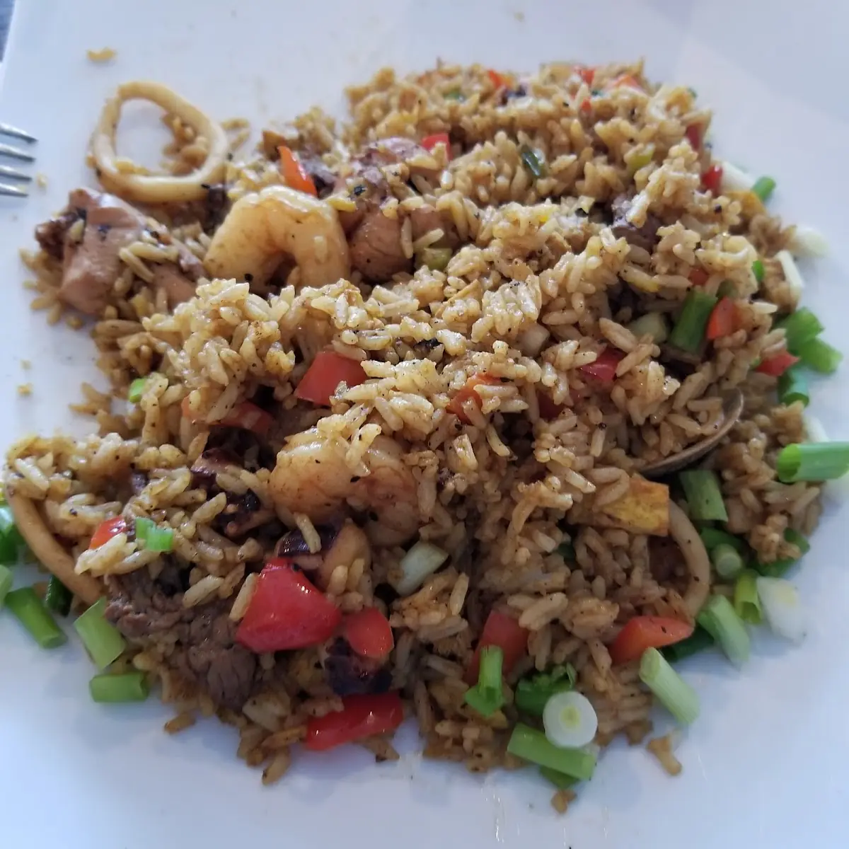Peruvian Style Seafood Fried Rice
