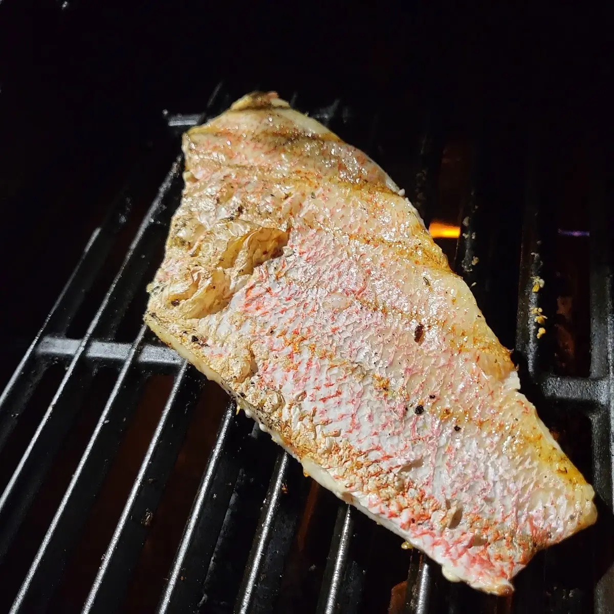 Red Snapper