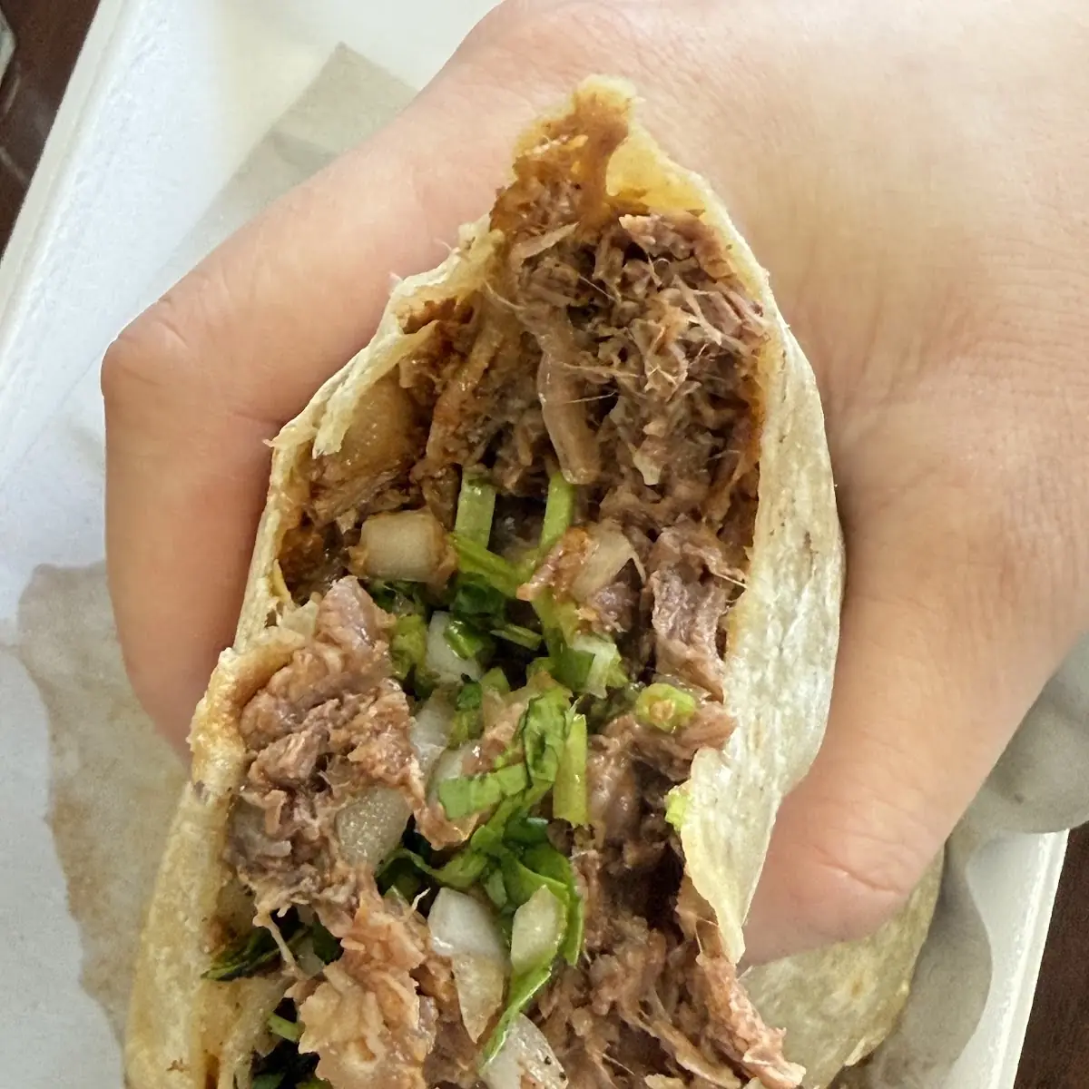 Birria Burrito