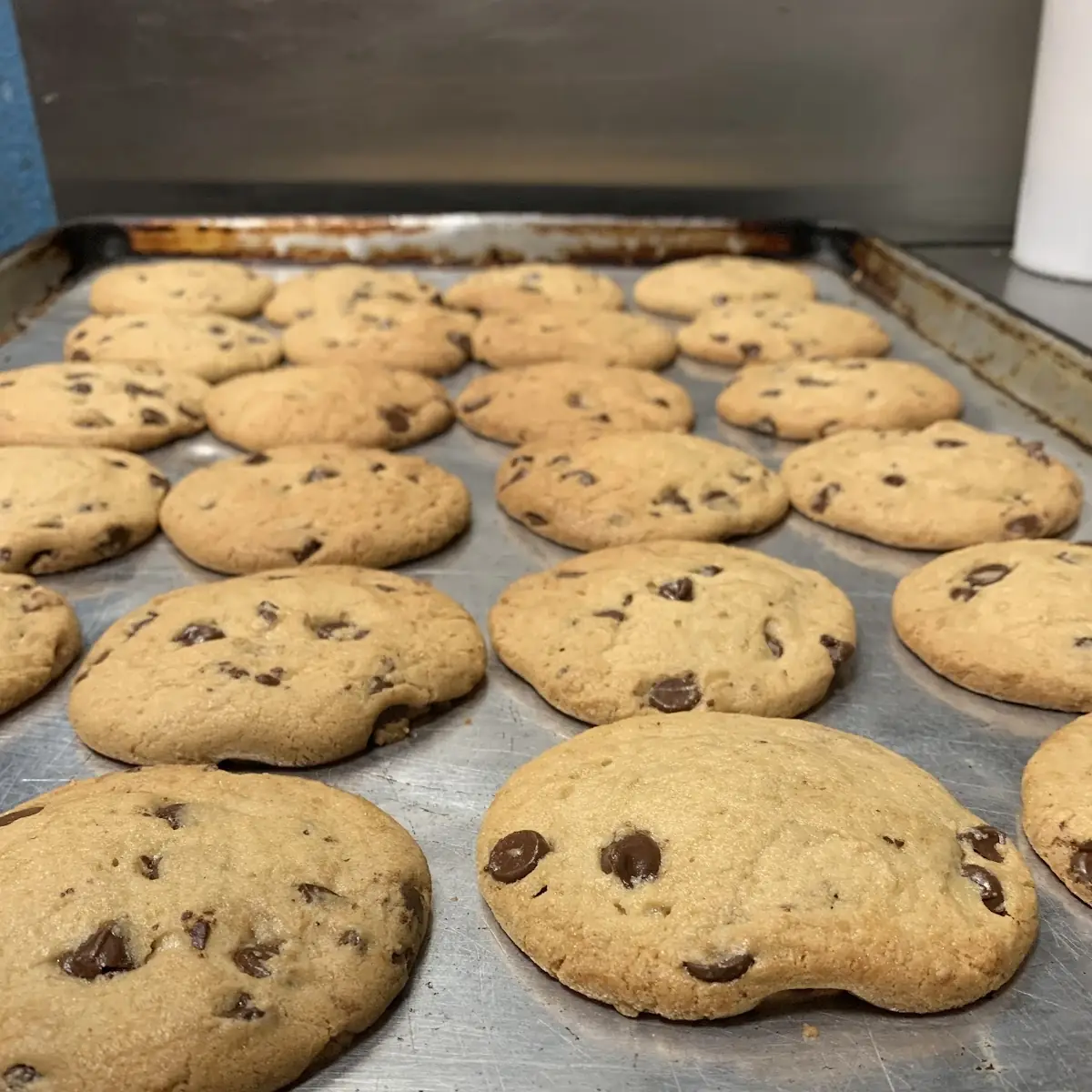 Chocolate Chip Cookie