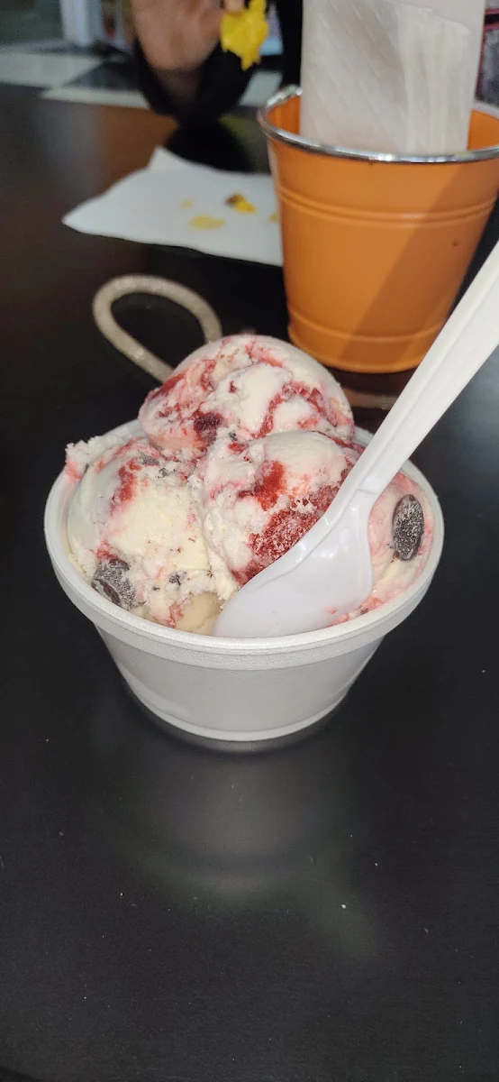 Road Runner Raspberry & Carrot Cake