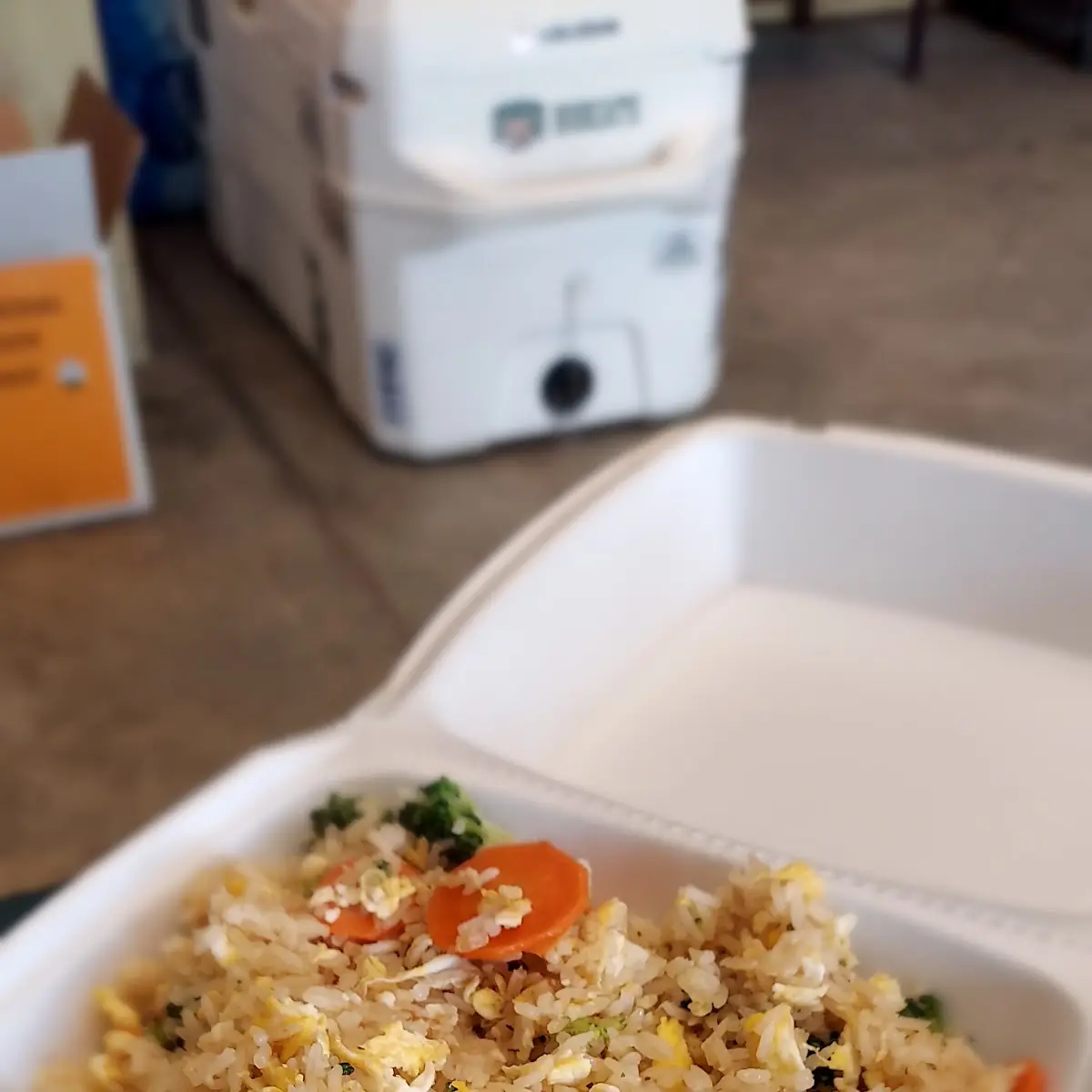Fried Rice