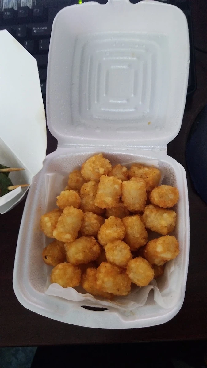 Onion Rings or Tator Tots