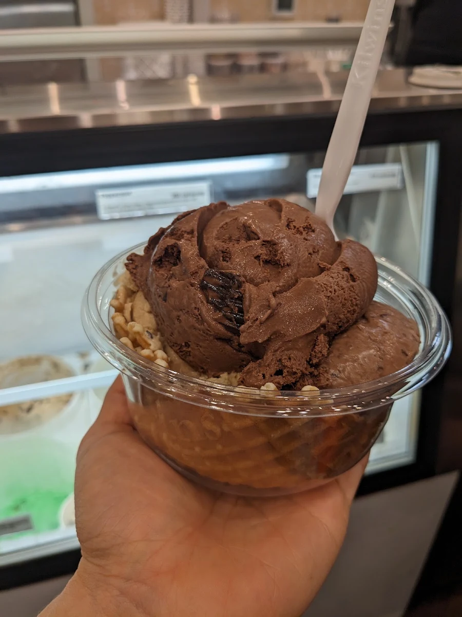 Chocolate Ice Cream