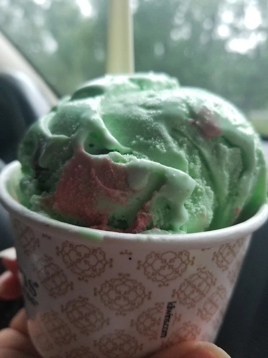 Mint Chocolate Chip