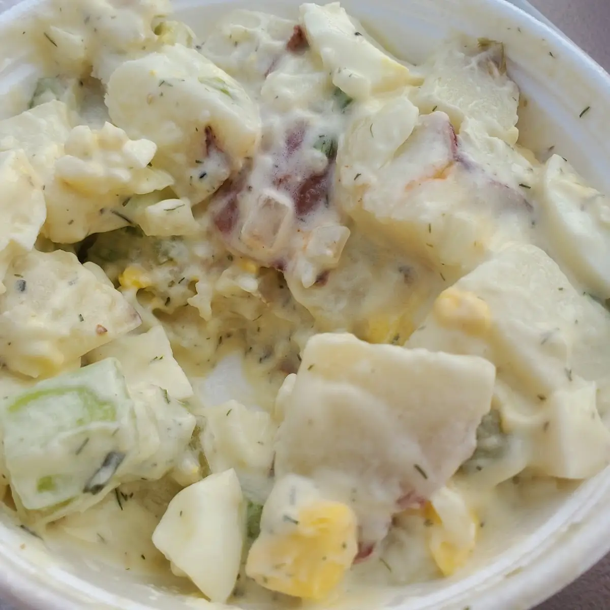 Garden Salad