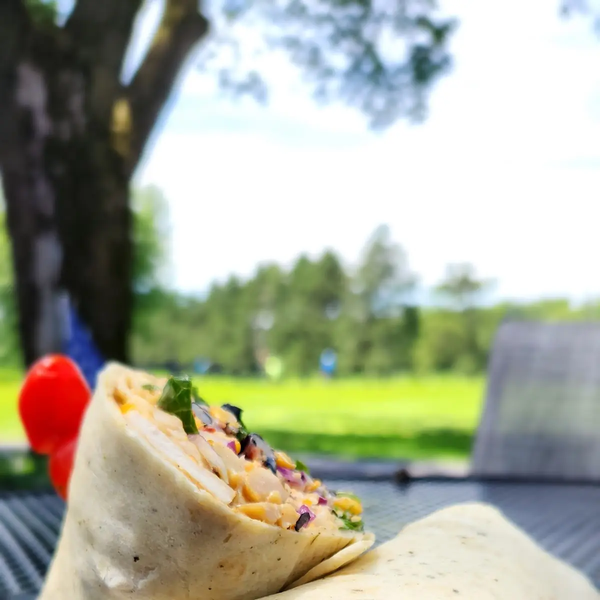 Southwestern Chicken Wrap
