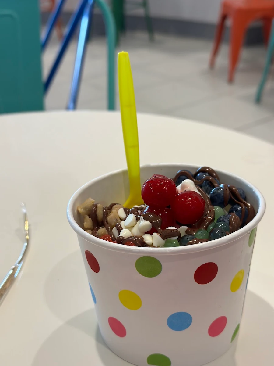Frozen Yogurt