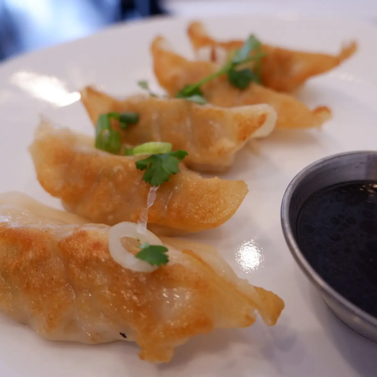 Shrimp Dumplings