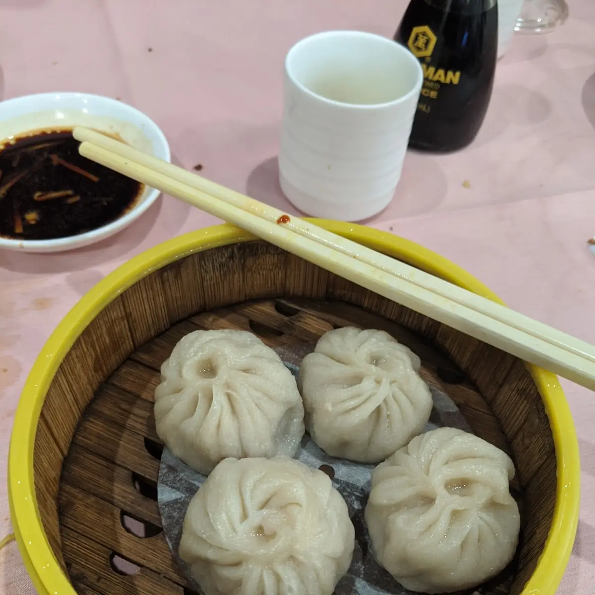 Juicy Pork Dumplings