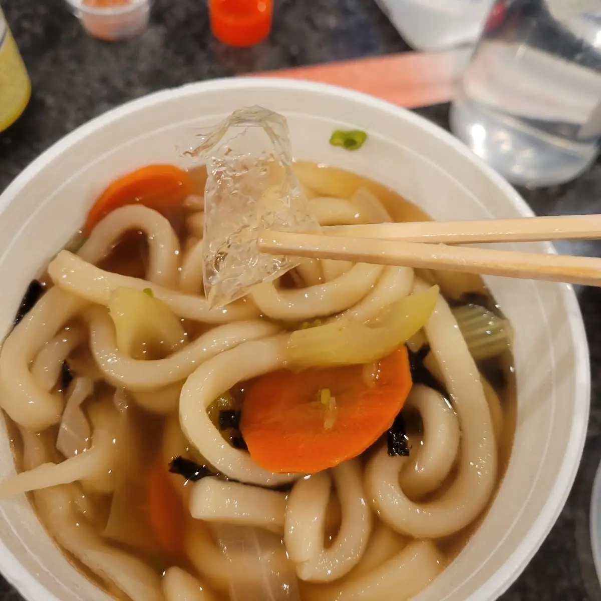 Tempura Udon with Plastic