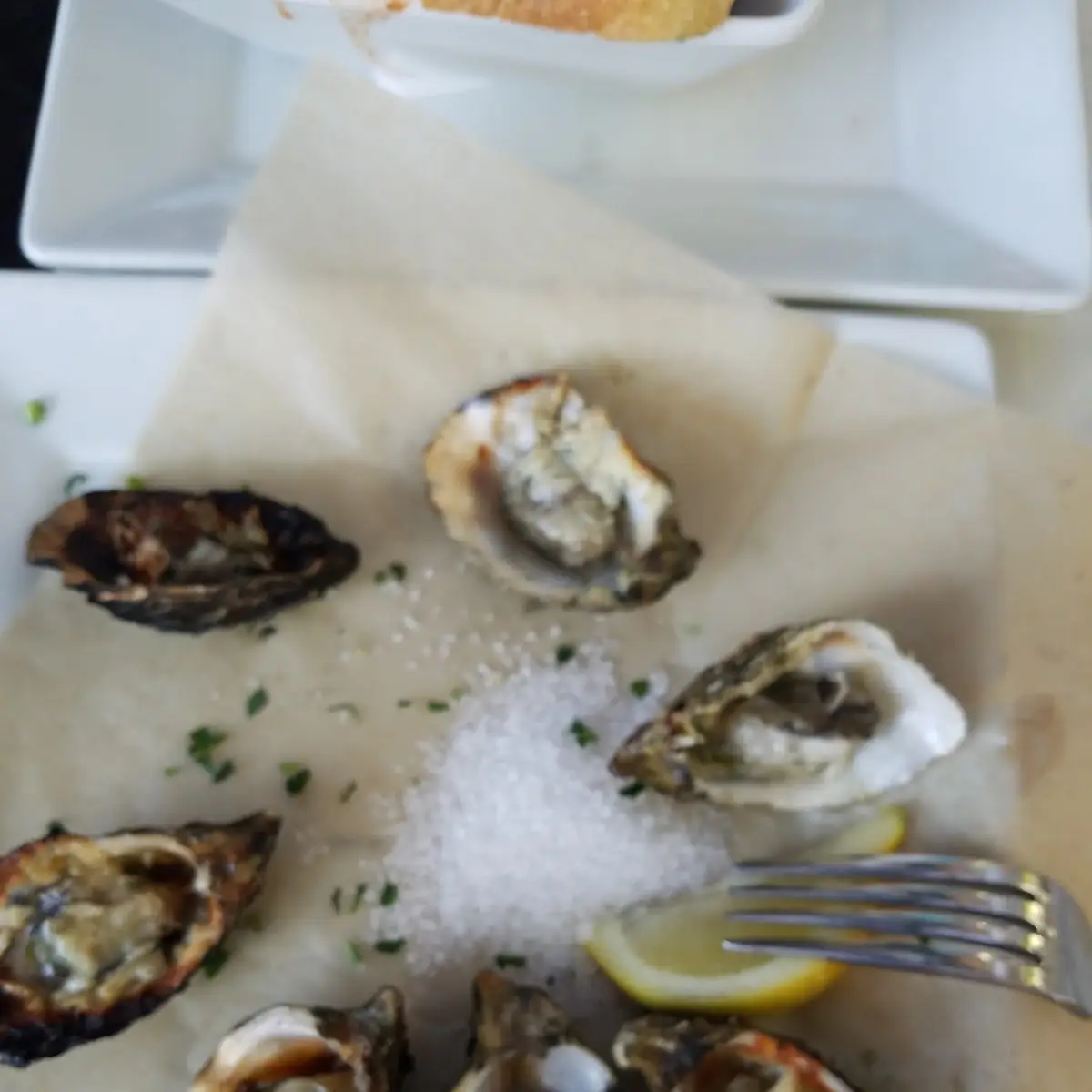 Oysters on the Half Shell