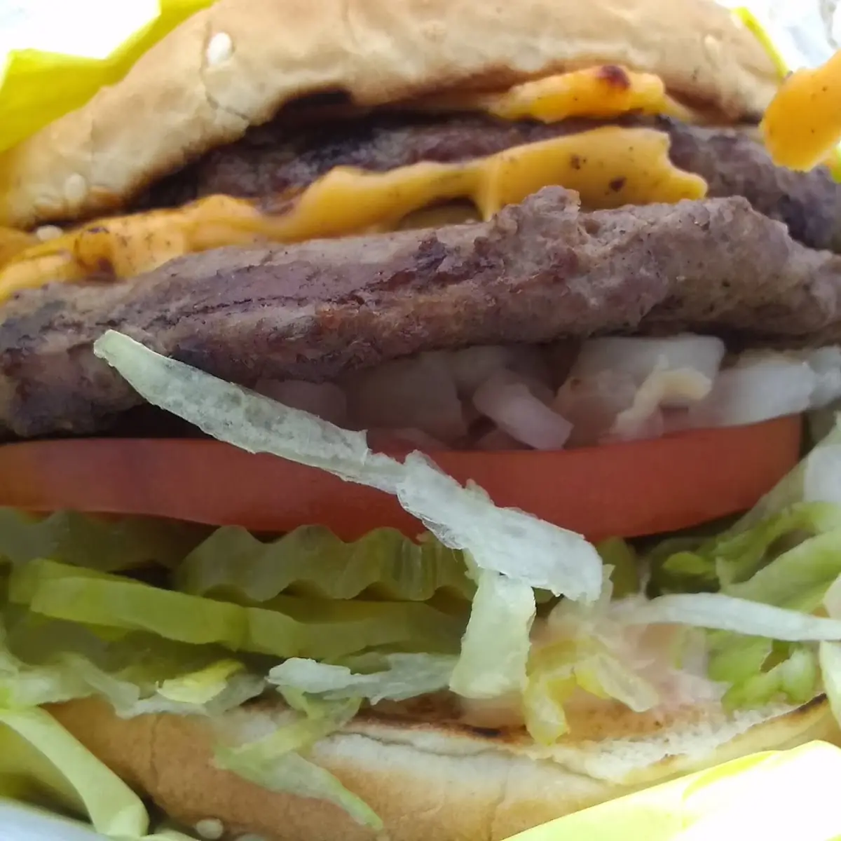 Double Cheeseburger