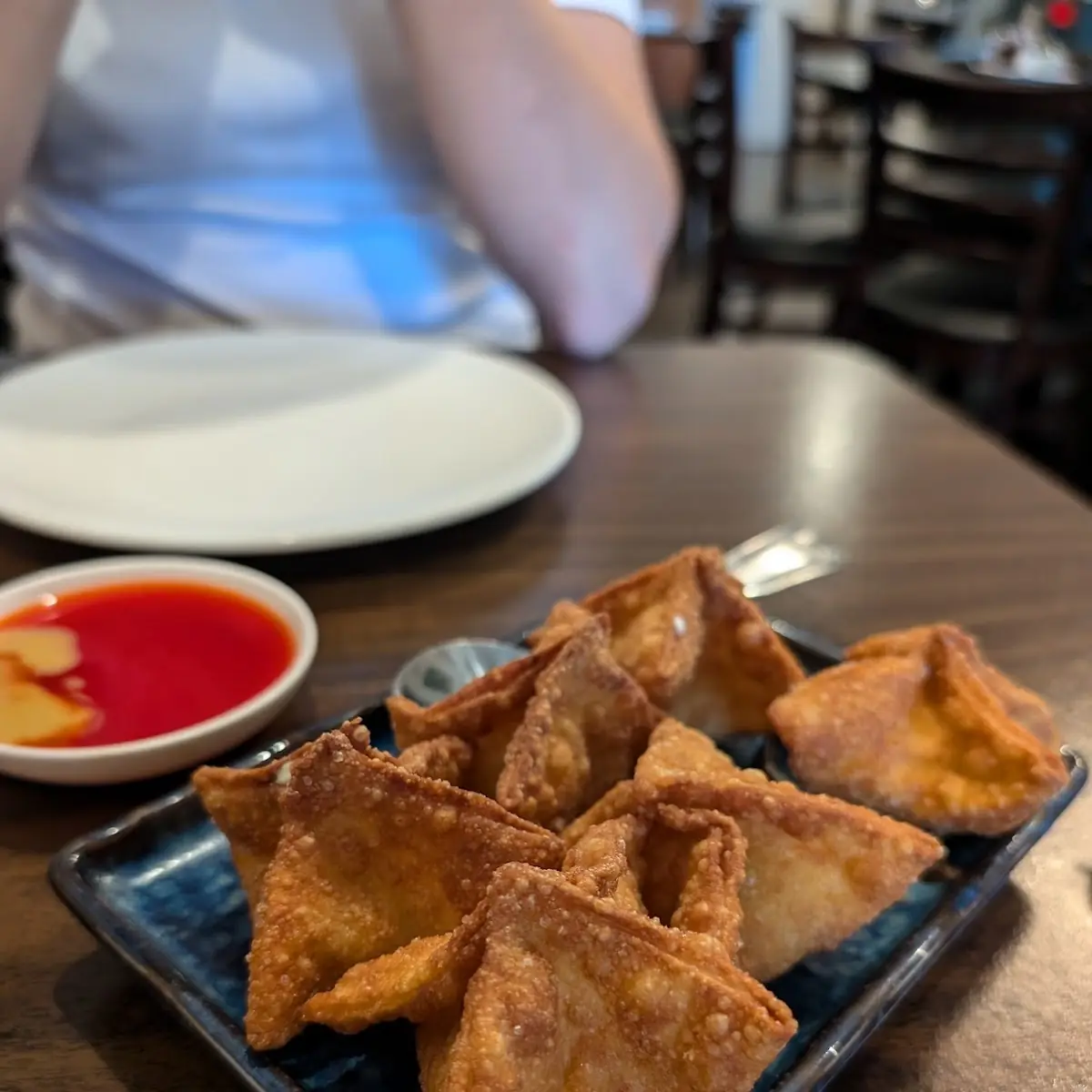 Fried Won Ton 10