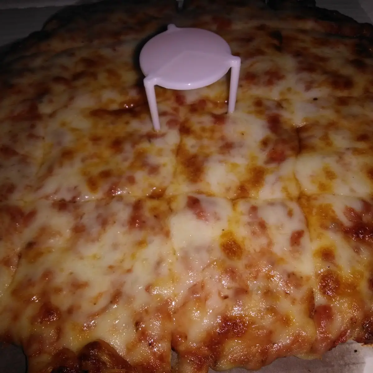 Thin Crust Cheese Pizza