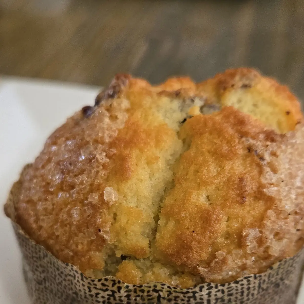 Blueberry Muffin