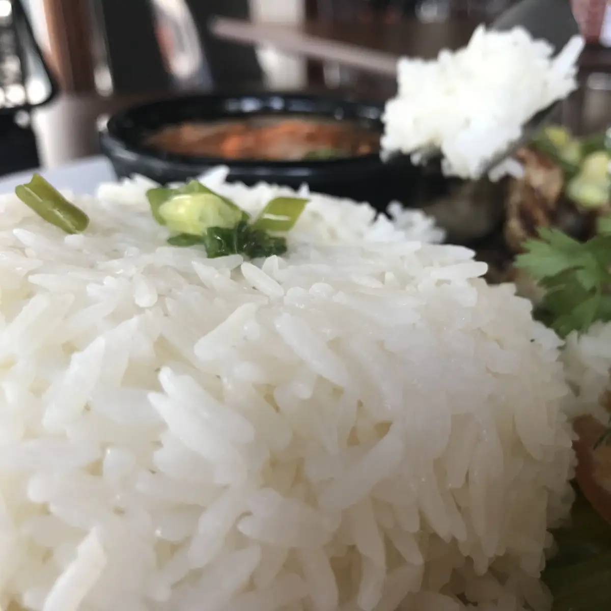 Rice Plates