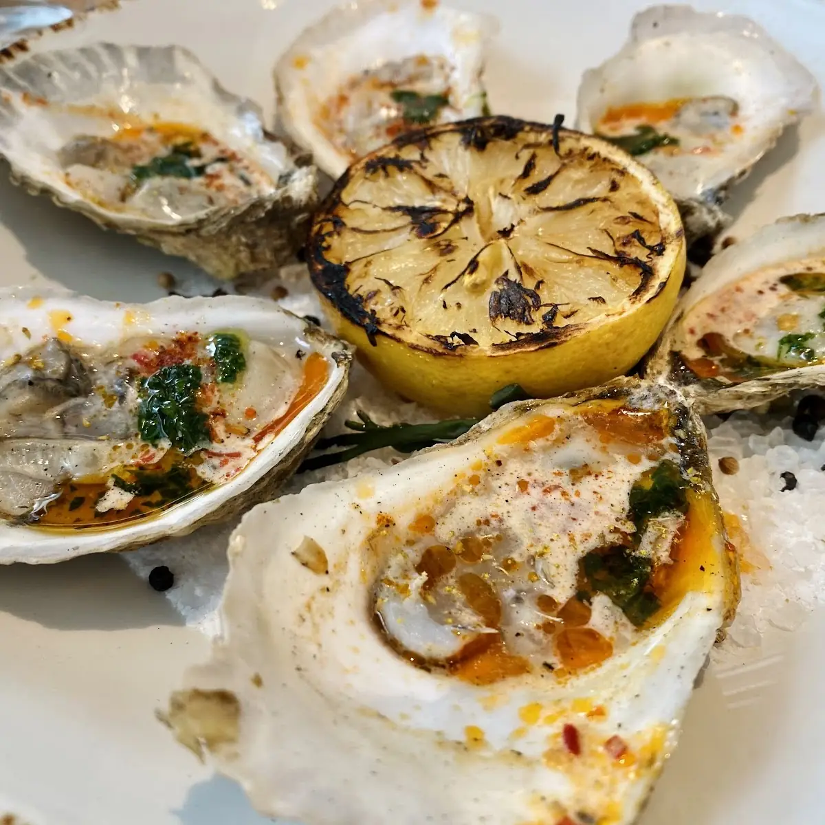 Char Grilled Oysters on the Half Shell