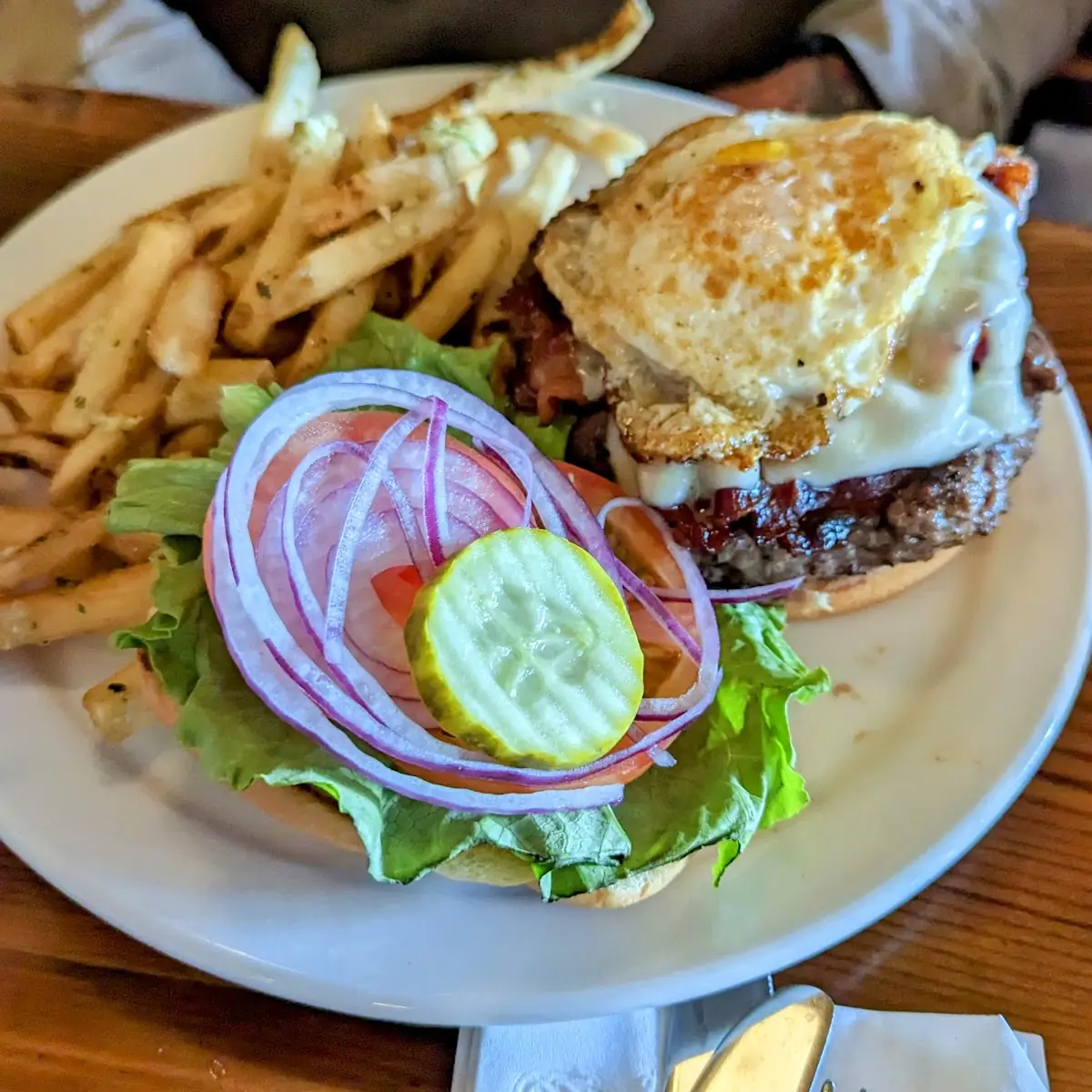 Bison Burger