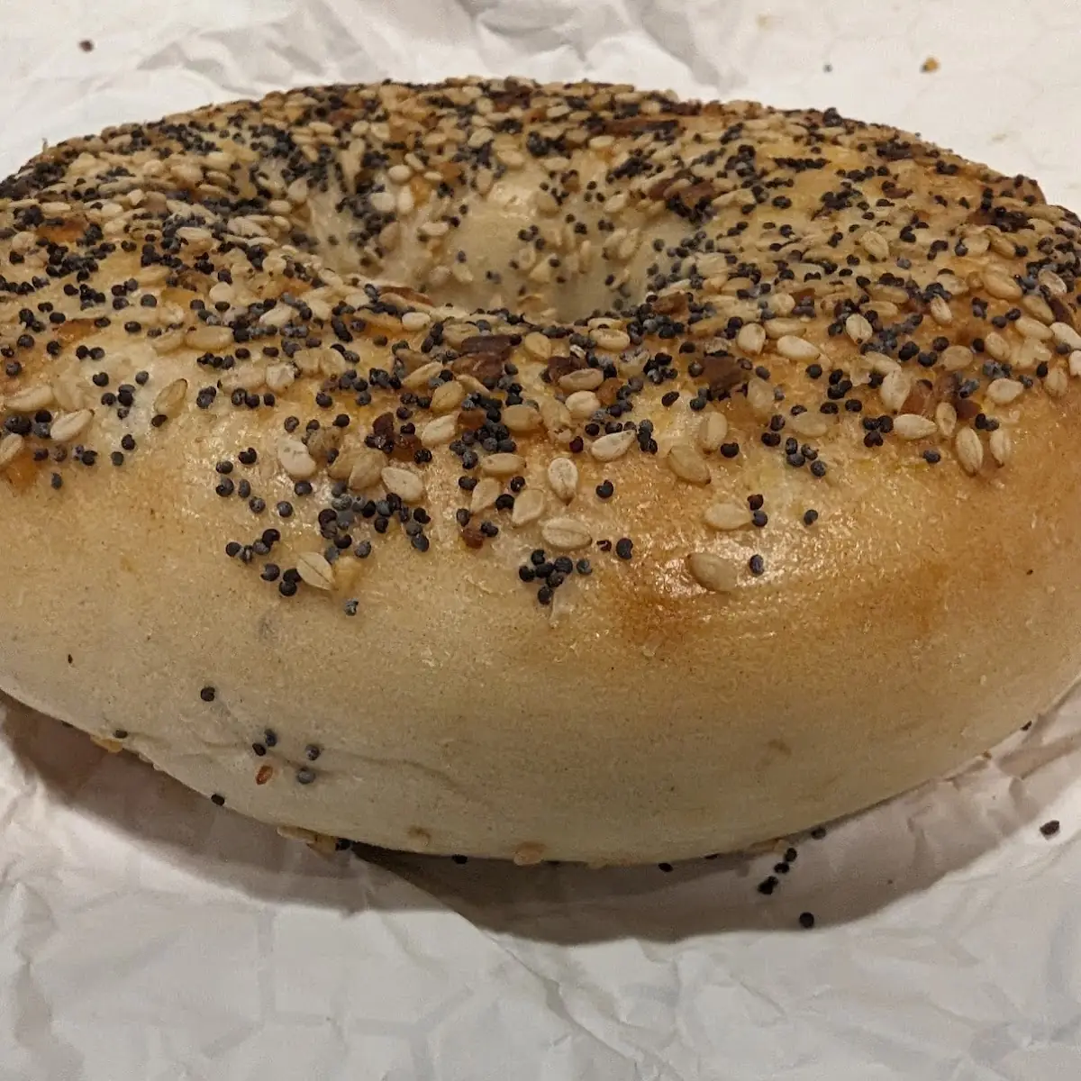Everything Bagel