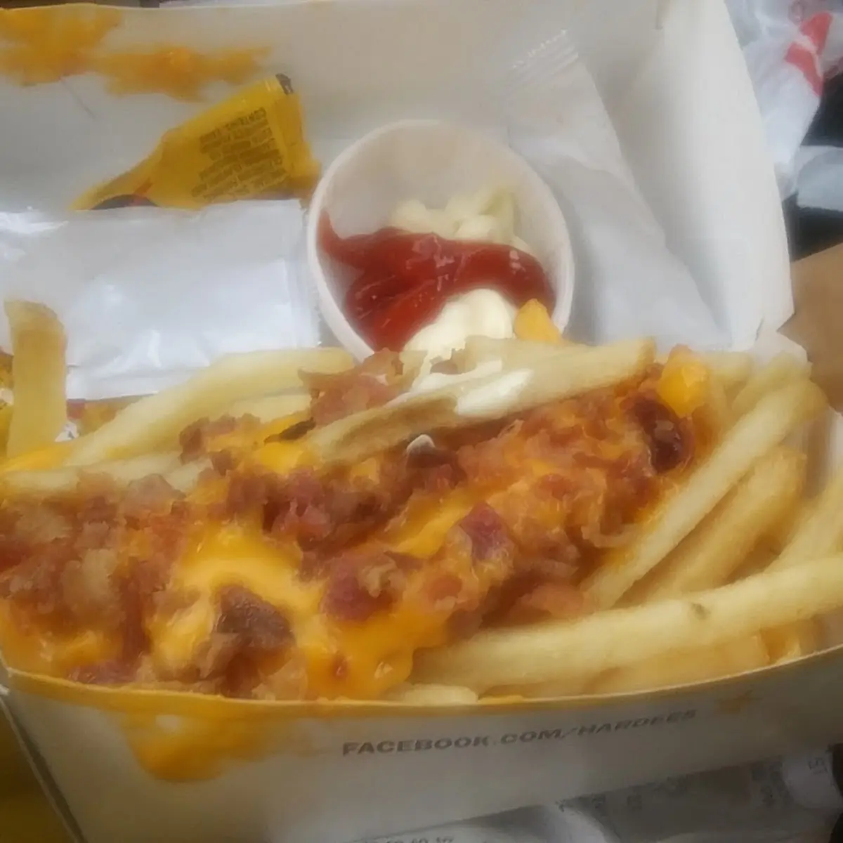 Bacon Cheese Fries