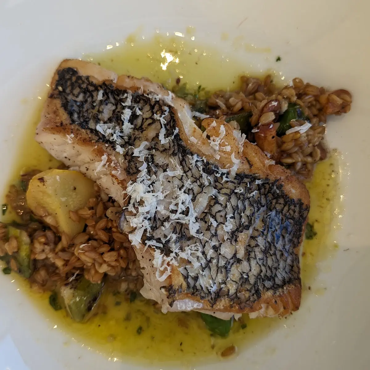 Black Sea Bass