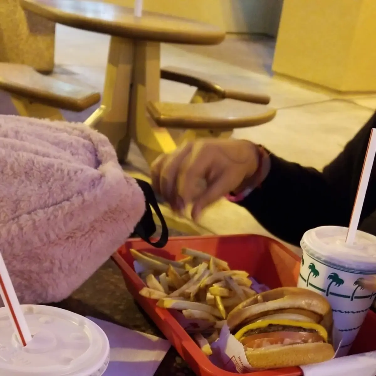 Double Double Cheeseburger Combo